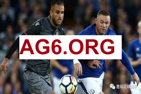 Shams：小萨博尼斯接受了左膝半月板撕裂修复手术 本赛季报销！